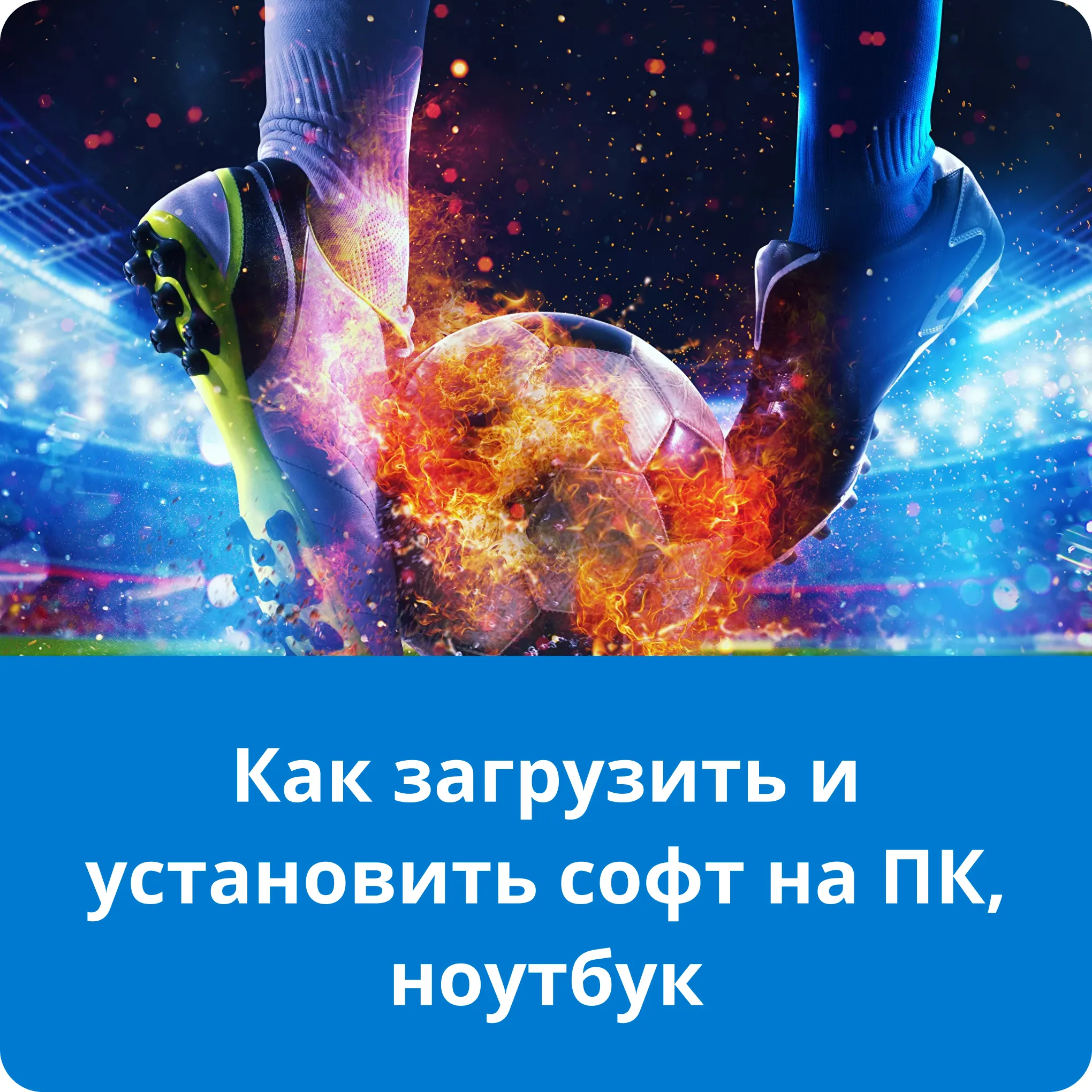 1xbet